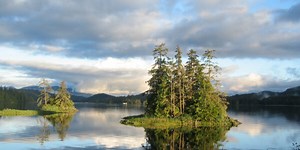 Alaska Forest Fund