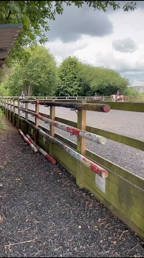 Me doing a canter & circle on Buzby ☺️ (I look a bit weird lol) #horseriding #horses | Alec Wheeler