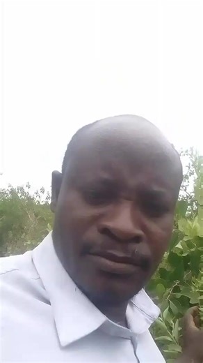 Benson Anubi (@benson.anubi)’s videos with original sound - Benson Anubi