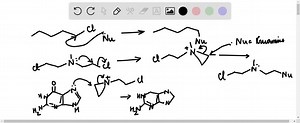 SOLVED:a. Explain why the alkyl halide shown here reacts much more rapidly with guanine than does a primary alkyl halide (such as pentyl chloride). b. The alkyl halide can react with two guanines, each in a different DNA chain, thereby cross-linking the chains. Propose a mechanism for the cross-linking reaction.