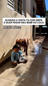 352K views · 38K reactions | Quero ver os cães deixarem 﫣藍 . . Siga @pitbullemfamilia . . . . . #pitbull #familiapitbull #reels | Família Pitbull | Facebook