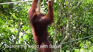 Amazing experiences, incredible journeys