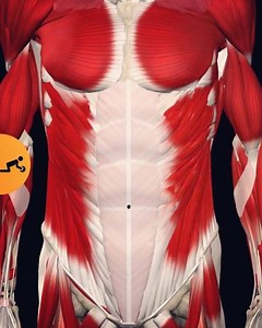 110K views · 1.9K reactions | Eccentric Training. Try our App for FREE! www.Muscleandmotion.com | Muscle and Motion | Facebook