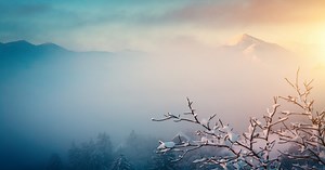 Insights | J.P. Morgan Private Bank U.S.