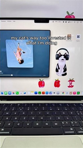 POV: teaching my cat how to use a computer