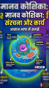 Human cell: Structure and function | Biology | AJAYGURUJi