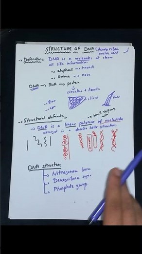 DNA Structure Explained🧬 | Basic Biochemistry Concept #shorts #medical #biochemistry #biology
