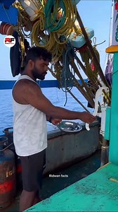 Fishermen's Dish Cleaning & Favorite Fish