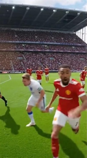 Bees Attack Football Players During the Match! 🐝⚽😂