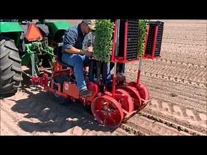 Mechanical Transplanter 2 row 5500WD