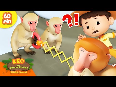 🐵 World of Primeapes! 🦍 Monkey, Gorilla, Orangutan & more! | Leo the Wildlife Ranger | Kids Cartoons