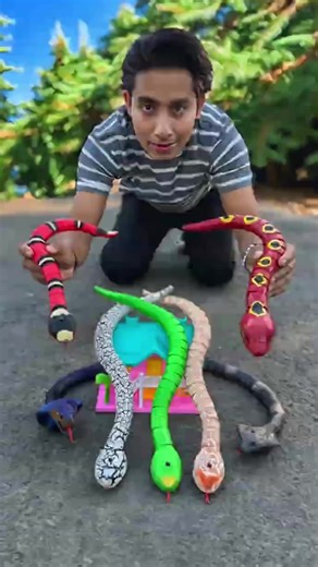 Unboxing the New Ak Dar Rc Snake Wala