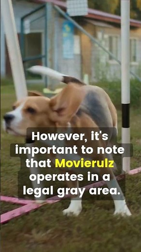 Movierulz: Your Ultimate Guide to Free Movie Streaming #movie #Movierulz #tips #free