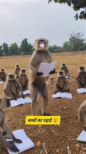 बच्चों का पढ़ाई 🐒#funny #thetharpuns #shilpisaroja #comedy