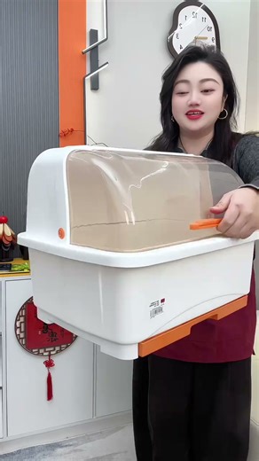 SWSR德国品牌厨房碗筷收纳盒带盖家用沥水加厚碗碟置物架碗柜收纳 大号-阳光橙【升级加厚款】2-3人用