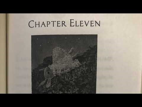 The Miraculous Journey of Edward Tulane Ch. 9-12