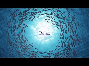 DREAM CALM | 5 Hours of Relaxing Sleep Music for Stress Relief | Study Music, Dreamy, Sleepy, Zen