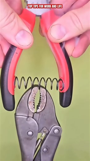 4.4K views | Grow with Hazel on Reels | Facebook