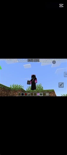automatic fly so cool #minecraft