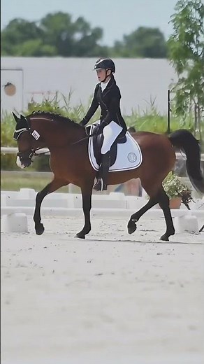 Dressage CCE Poney 🇫🇷➡️🇪🇺 | championnats de France As Poney Élite GP & championnats d'Europe 2025