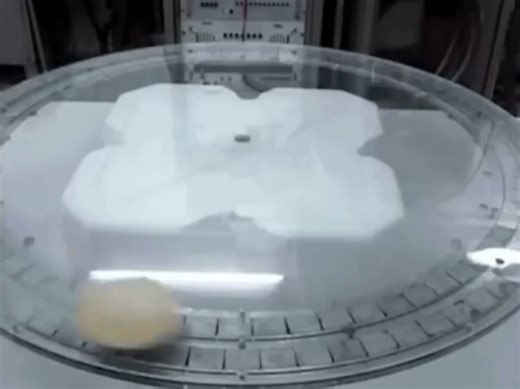 524K views · 14K reactions | Ac Current Vs Dc Current ! Which is Most Dangerous? #science #current #Amazing #NikolaTesla ⚡️ | Rohit Rathiya | Facebook