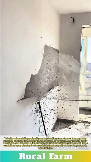 Prep Your Walls Tearing Down to the Base Layer: How to Remove Failing Wall Putty & Anti-Crack Mesh