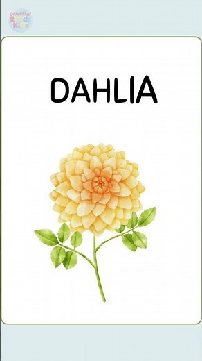 Types of Flowers Flashcards 🌸 | Learn Flower Names for Kids