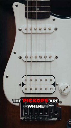 Electric Guitars Explained Simply