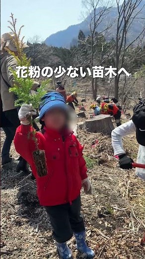 森林伐採は悪ですか？森を循環させる取り組みはどうでしょうか #群馬工務店 #高気密高断熱 #植林 #環境問題 #群馬県