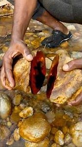 A Stunning Amber Discovery Hidden Beneath the Earth!