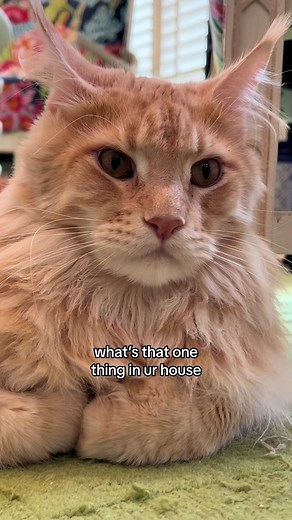 Expensive But Unused Items in Your House