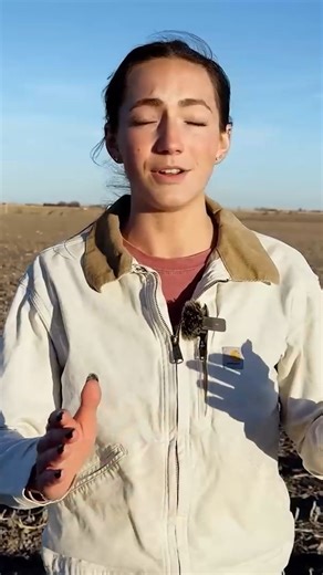 Here's Why We Bought This Land!