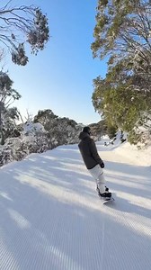 26K views · 324 reactions | That first run of the day feeling  Only 5 weeks to go, but who's counting  | Falls Creek | Facebook