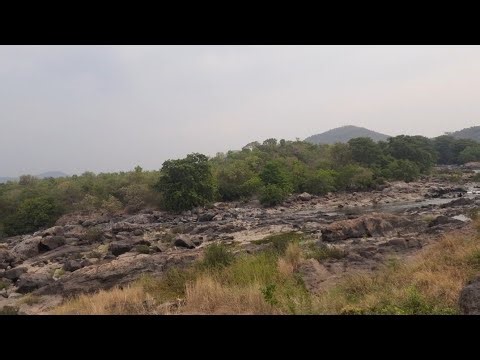 Beautiful Forest | 10 most beautiful forests in the world