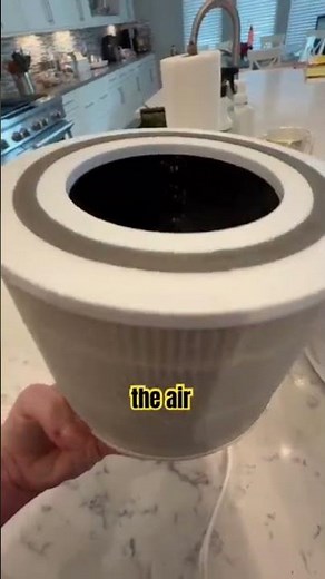 Levoit Air Purifier