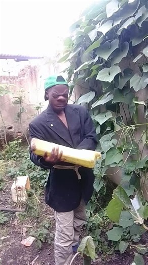 Mucunyimuto Comedy: Episode 33 Highlights