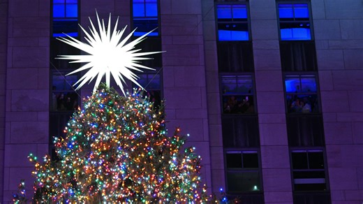 Adam and Eve and the complicated history of the Christmas tree | Gardener State