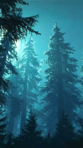 Peaceful Forest Night 🌲🌙 Gentle Breeze Sounds for Relaxation & Sleep