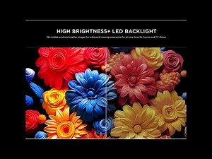 TCL 55Q651G Q6-Series 55" 4K QLED Smart Google TV Review (Renewed) | Stunning Visuals