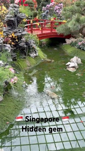 Singapore - Flower Dome #singapore #travel #flowers #visit #visitsingapore #travelasia #explore