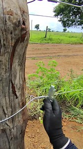Usando a torcel Caçula #choquebruto #cercaeletricarural #alambrador #cerqueiro #electricfence #electricfencing | Choque Bruto - Cerca Elétrica Rural