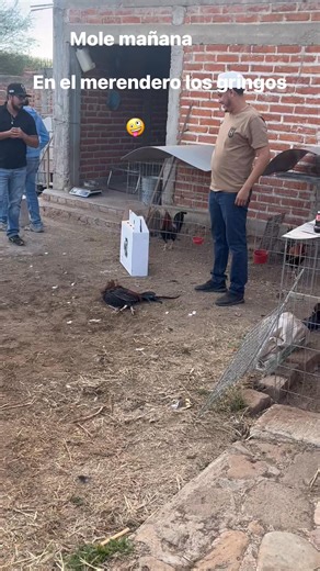 Rodrigo Rodriguez on Reels