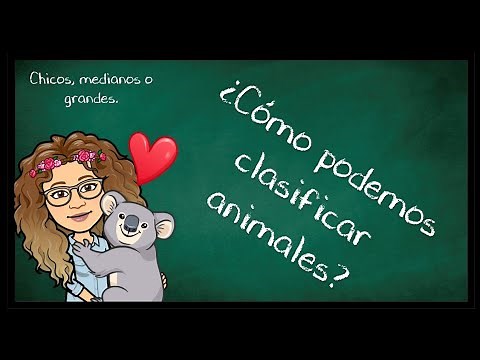 Animales chicos, medianos y grandes. 🐀🐧🐳