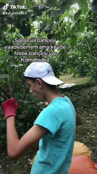 Bahceler aktif #fındık #ordu52