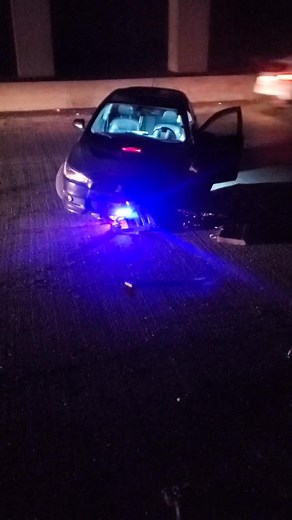 Farewell Daisy: Reflecting on Memories