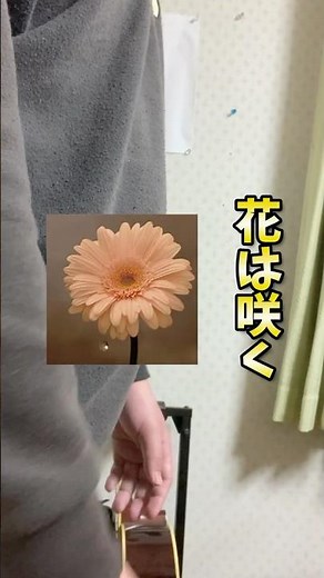 花は咲くを歌ってみた#音楽 #花は咲くプロジェクト#歌手 #カラオケ #歌ってみた#花は咲く #カバー #歌ってみた動画 #復興支援 #JPOP
