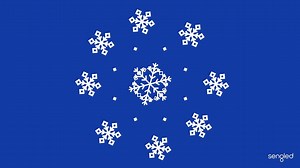 Last chance to get the perfect gadget gifts for Christmas. #PulseSolo - LED light and dual stereo speakers in one bulb. http://us.sengled.com/product/pulse-solo | Sengled