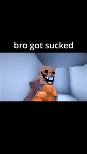 bro got sucked #minecraft #minecraftmemes