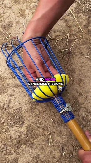 Engaging Stories from Reddit