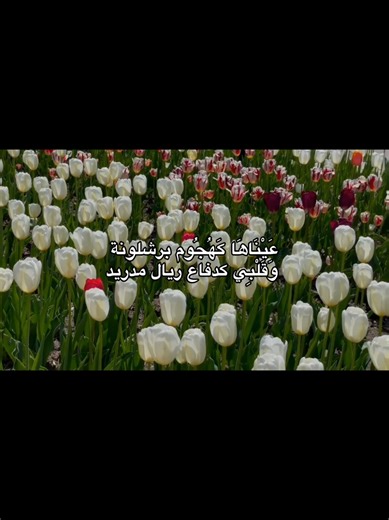 #spidey #foryoupage | spidey